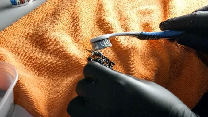 Come togliere la vernice dalle miniature